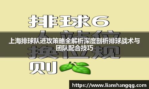 bellbet贝博APP