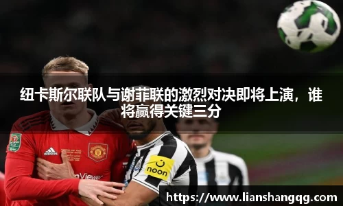 bellbet贝博官网